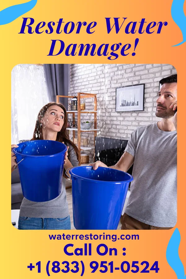 water restoration Trusted Water Solutions Pros Perham