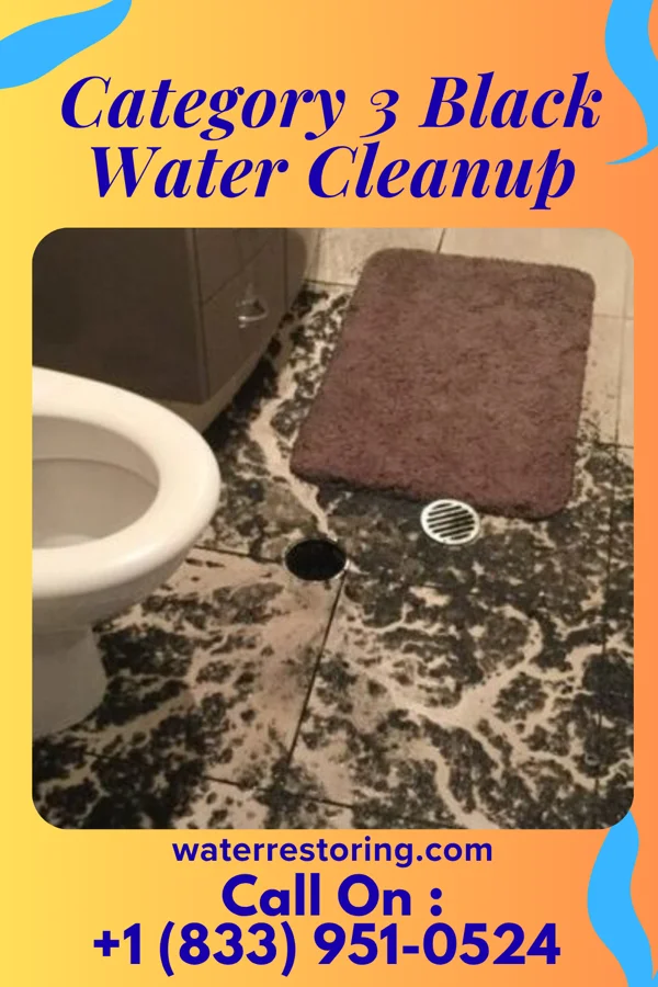 Category 3 Black Water Cleanup in Perham, MN