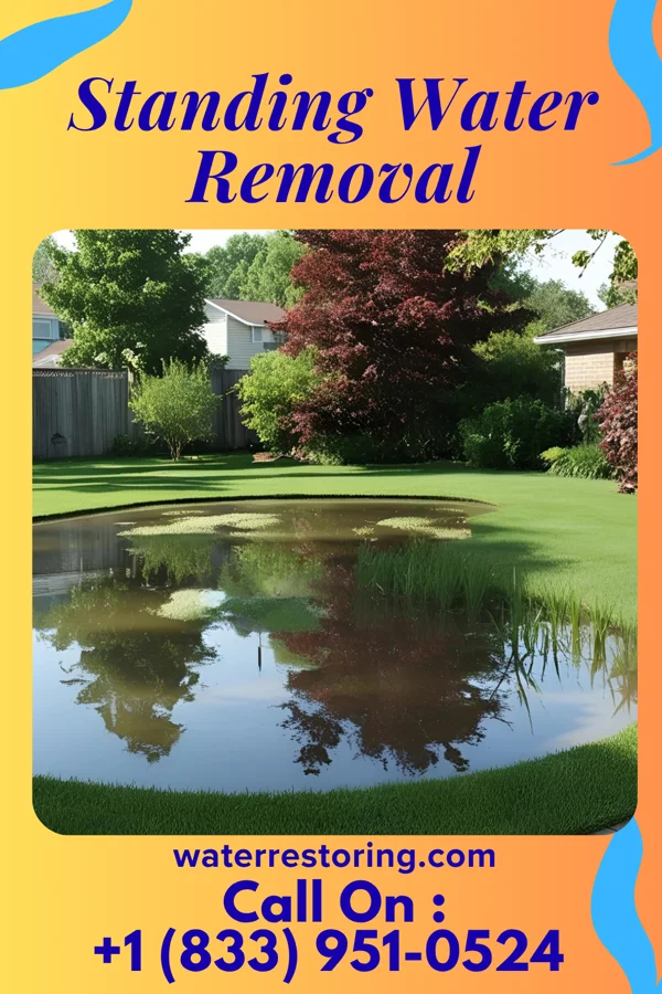 Standing Water Removal in Perham, MN